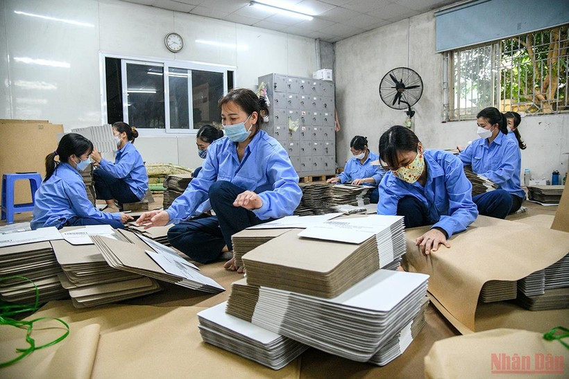 Ảnh minh họa: THÀNH ĐẠT