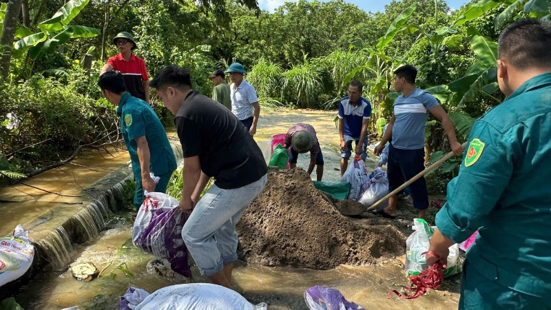 Chính quyền và nhân dân xã Thanh Trì đã khẩn trương triển khai công tác bảo đảm an toàn đê điều.