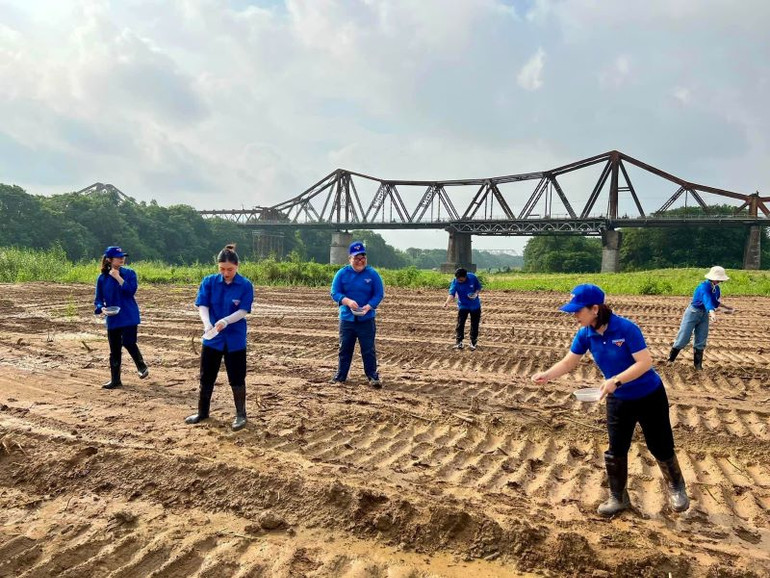 Thanh niên tình nguyện quận Ba Đình cải tạo đất, gieo giống cây tạo không gian xanh. Ảnh: Duy Minh. Thanh niên tình nguyện quận Ba Đình cải tạo đất, gieo giống cây tạo không gian xanh. Ảnh: Duy Minh.