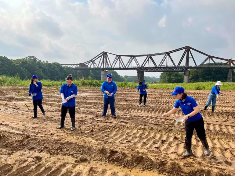 Thanh niên tình nguyện quận Ba Đình cải tạo đất, gieo giống cây tạo không gian xanh. Ảnh: Duy Minh.