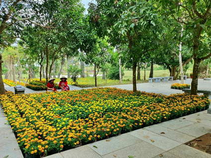 Hoa từ tâm trong khuôn viên Bàn tay Phật.