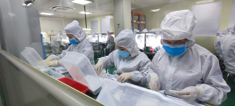 (Ảnh minh họa: GIANG KHÔI)