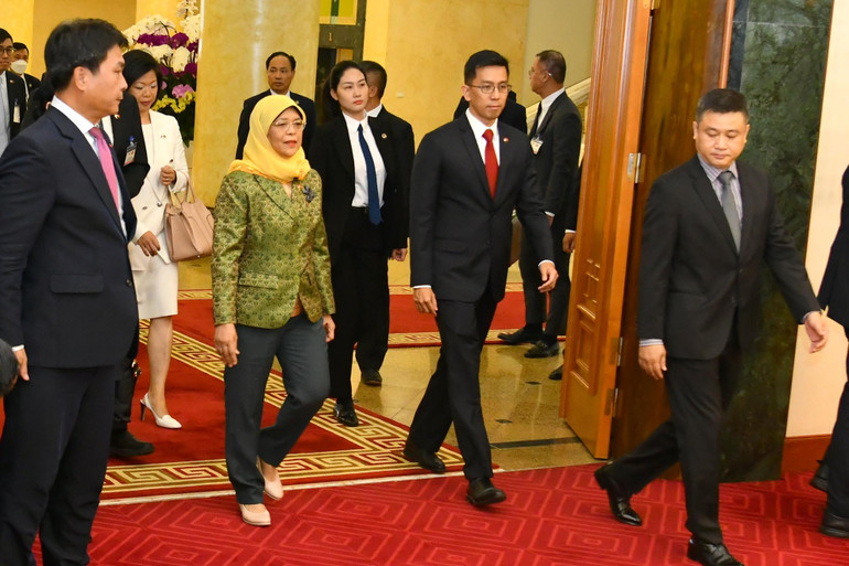 [Ảnh] Tổng Bí thư Nguyễn Phú Trọng tiếp Tổng thống Cộng hòa Singapore Halimah Yacob ảnh 1