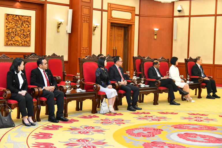 [Ảnh] Tổng Bí thư Nguyễn Phú Trọng tiếp Tổng thống Cộng hòa Singapore Halimah Yacob ảnh 5