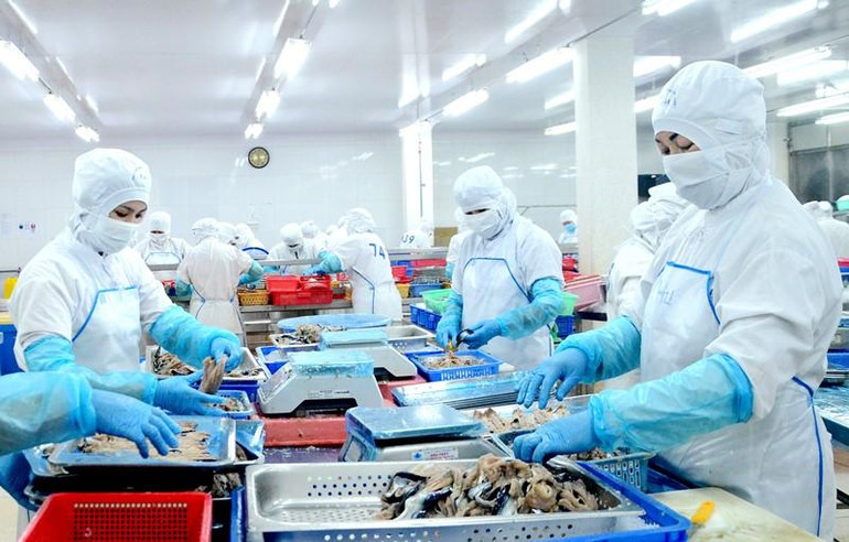 Công nhân Công ty cổ phần Xuất nhập khẩu thủy sản tỉnh Bà Rịa-Vũng Tàu (Baseafood) chế biến các đơn hàng xuất khẩu. Công nhân Công ty cổ phần Xuất nhập khẩu thủy sản tỉnh Bà Rịa-Vũng Tàu (Baseafood) chế biến các đơn hàng xuất khẩu.