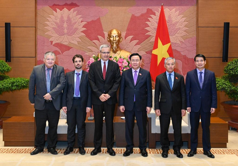 [Ảnh] Chủ tịch Quốc hội Vương Đình Huệ tiếp Đại sứ Pháp tại Việt Nam ảnh 8