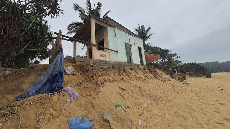 Khoảng 400m bờ biển tổ dân phố Thạnh Đức 1, phường Phổ Thạnh bị sạt lở nghiêm trọng, ảnh hưởng trực tiếp nhà ở của 11 hộ dân.