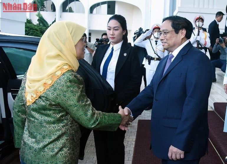 [Ảnh] Thủ tướng Phạm Minh Chính tiếp Tổng thống Cộng hòa Singapore Halimah Yacob ảnh 1