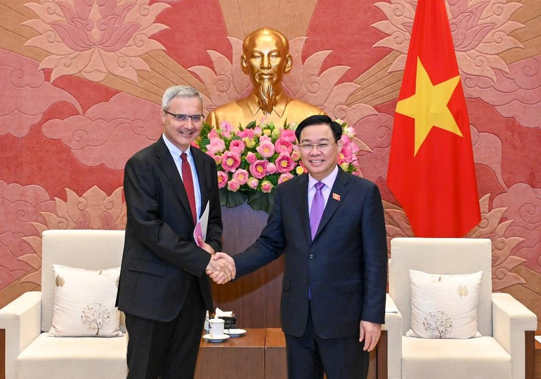 [Ảnh] Chủ tịch Quốc hội Vương Đình Huệ tiếp Đại sứ Pháp tại Việt Nam ảnh 1