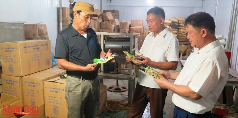 Kiểm tra chất lượng thạch đen, trước khi đưa vào xưởng chế biến ở Công ty TNHH sản xuất và đầu tư xuất nhập khẩu Đức Quý.