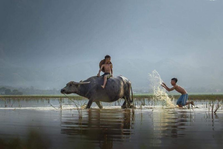 Một tác phẩm của Vũ Anh Dũng.