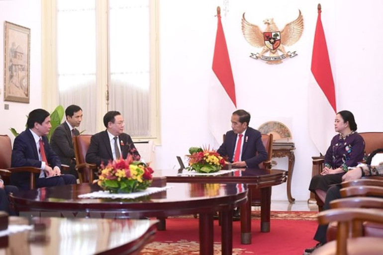 Tại cuộc hội kiến, Chủ tịch Quốc hội Vương Đình Huệ khẳng định Việt Nam hết sức coi trọng Quan hệ Đối tác Chiến lược với Indonesia. (Ảnh: TTXVN)