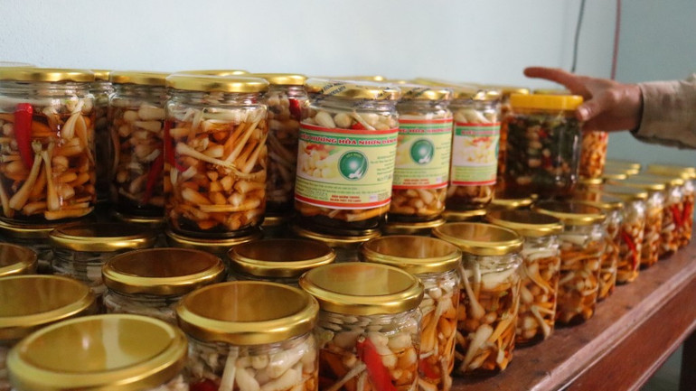 [Ảnh] Thơm nồng kiệu hương Hòa Nhơn ảnh 10