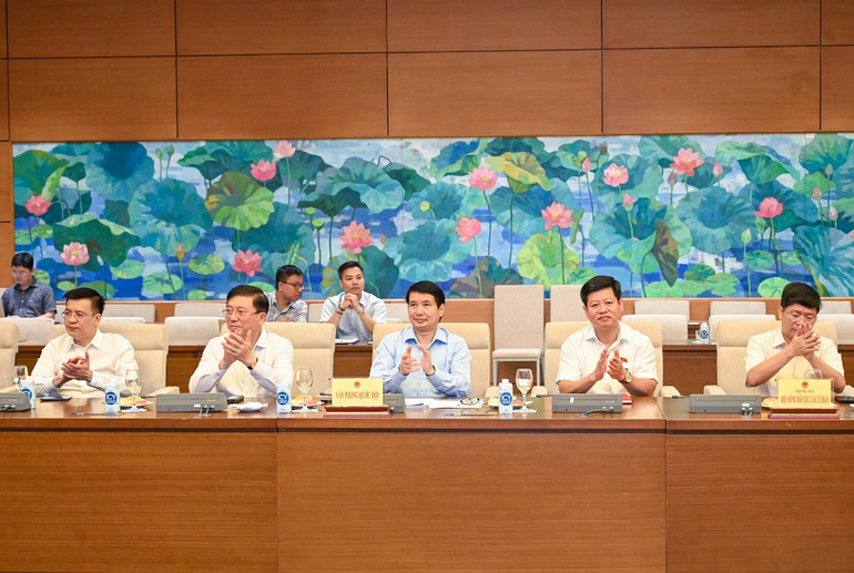 Thường trực Hội đồng Dân tộc, các ủy ban của Quốc hội và các đại biểu dự cuộc gặp mặt.