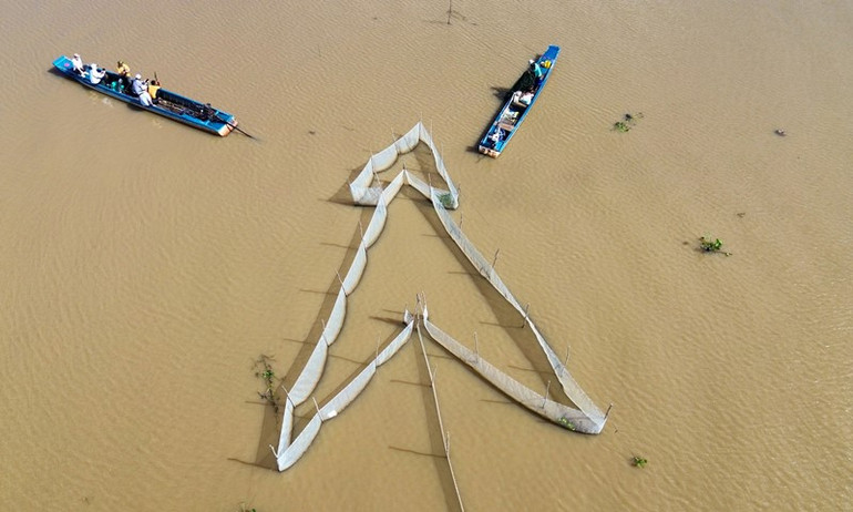 Nước trên đồng giựt mạnh, đường dớn lưới cá linh của anh Tùng lộ rõ hẳn lên trên mặt nước.