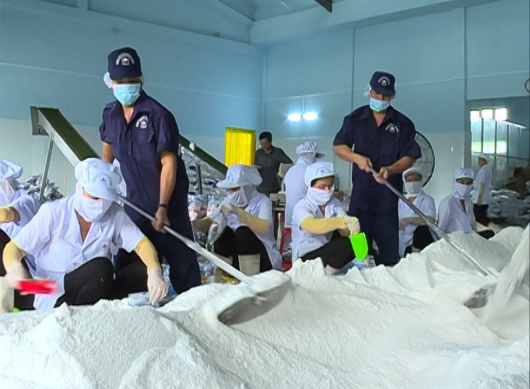 Nhà máy chế biến muối chất lượng cao xuất khẩu tại Bạc Liêu.