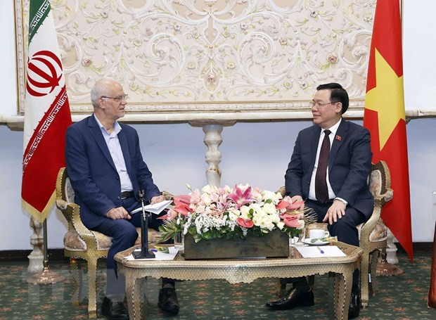 Chủ tịch Hội Seyed Kamal Sajjadi mong muốn hai nước tiếp tục tăng cường hợp tác kinh tế-thương mại, văn hóa. (Ảnh: Doãn Tấn/TTXVN)