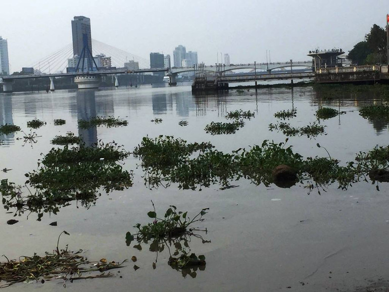 Hình ảnh được chụp sáng 21/4. Hình ảnh được chụp sáng 21/4.