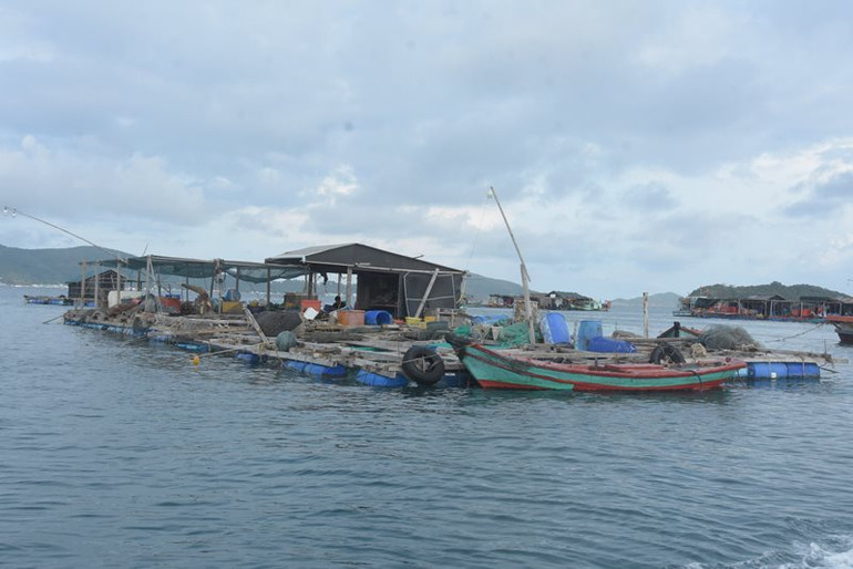 Nuôi cá bằng lồng bè ở xã Nam Du, huyện Kiên Hải.
