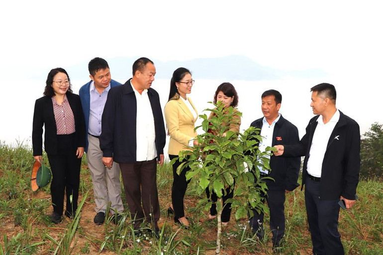 Đại biểu Mùa Thanh Sơn và các đại biểu cơ quan dân cử giám sát tại huyện Mường Nhé. (Ảnh: Lê Lan)