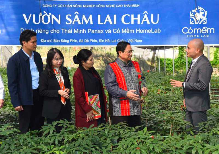 Thủ tướng Phạm Minh Chính thăm vườn sâm Lai Châu tại xã Sà Dề Phìn. Thủ tướng Phạm Minh Chính thăm vườn sâm Lai Châu tại xã Sà Dề Phìn.