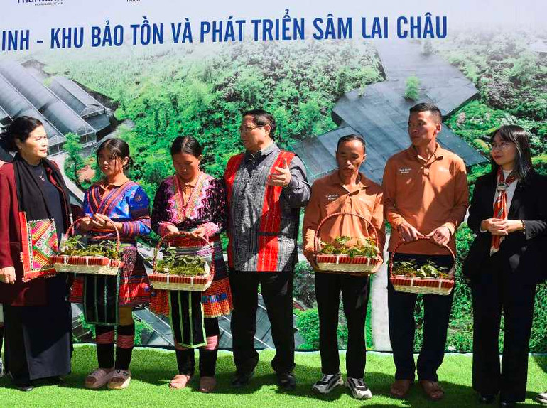 Thủ tướng Phạm Minh Chính trao tặng cây sâm giống cho bà con nông dân địa phương. Thủ tướng Phạm Minh Chính trao tặng cây sâm giống cho bà con nông dân địa phương.