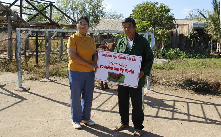 Ban Dân vận Tỉnh ủy Đắk Lắk đã vận động kinh phí hỗ trợ 2 con bò giống, mỗi con trị giá 14 triệu đồng cho 2 hộ nghèo ở xã Cư Kbang, giúp bà con phát triển sinh kế.
