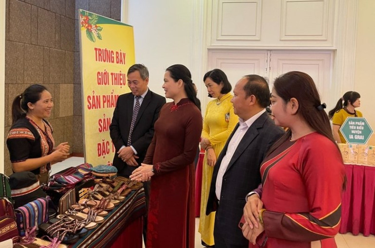 Các đại biểu tham quan sản phẩm OCOP, đặc trưng tiêu biểu của phụ nữ tỉnh Gia Lai.