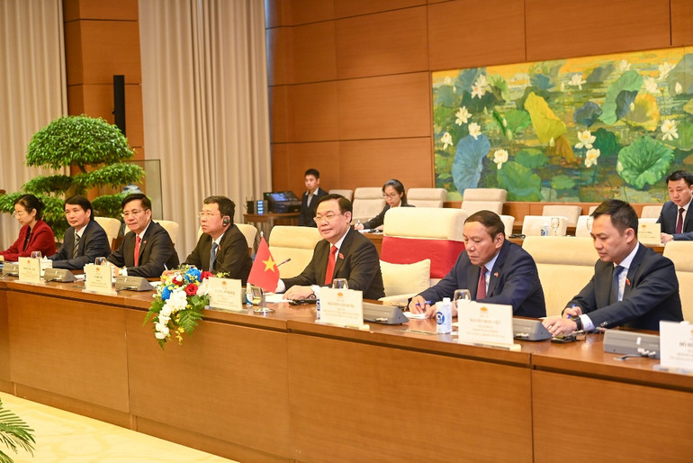 Chủ tịch Quốc hội Vương Đình Huệ và các thành viên đoàn Việt Nam dự buổi tiếp.