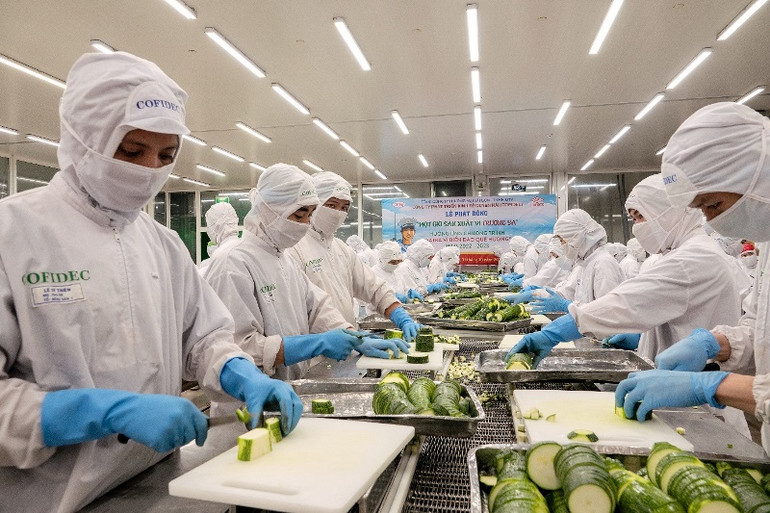 “Giờ lao động vì Trường Sa thân yêu” diễn ra tại Công ty cổ phần Kinh tế Duyên hải (Cofidec). (Ảnh: SATRA) “Giờ lao động vì Trường Sa thân yêu” diễn ra tại Công ty cổ phần Kinh tế Duyên hải (Cofidec). (Ảnh: SATRA)