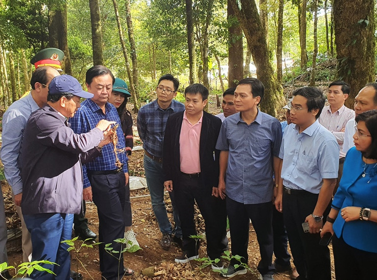 Đồng chí Dương Văn Trang (thứ hai từ trái sang) giới thiệu về sâm Ngọc Linh Kon Tum với đoàn công tác của Bộ Nông nghiệp và Phát triển Nông thôn.