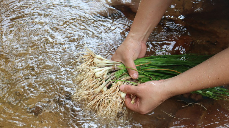 [Ảnh] Thơm nồng kiệu hương Hòa Nhơn ảnh 5