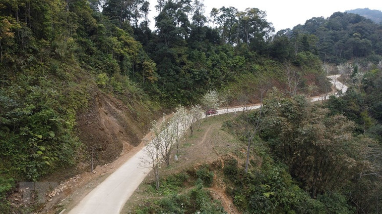 Tổ chức Kỷ lục Việt Nam đã trao bằng chứng nhận Kỷ lục về tuyến đường hoa lê dài nhất Việt Nam cho Ủy ban nhân dân huyện Na Hang. (Ảnh: Nam Sương/TTXVN)