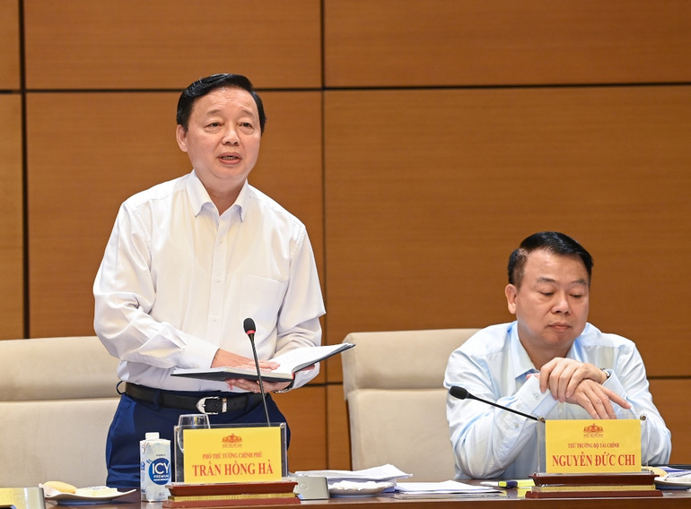 Phó Thủ tướng Chính phủ Trần Hồng Hà phát biểu tại buổi làm việc.