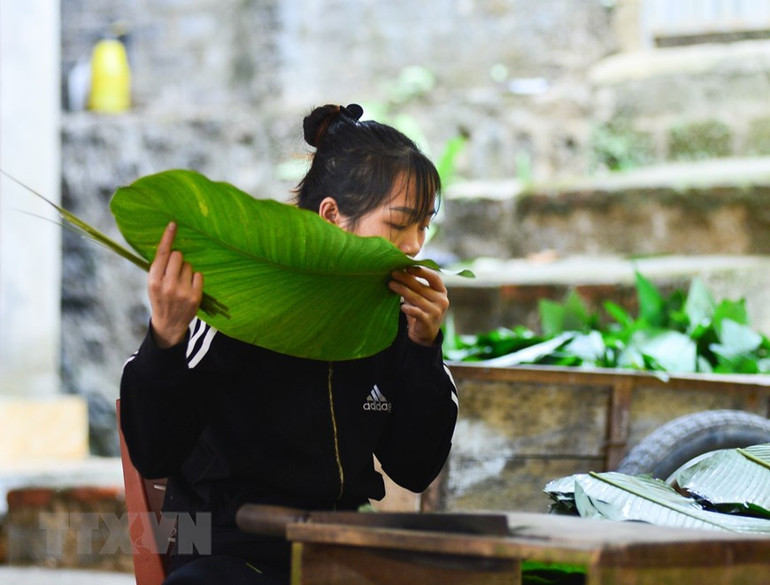 [Ảnh] Làng nghề bánh chưng gù Bản Tùy ở Hà Giang tất bật cho vụ Tết ảnh 3