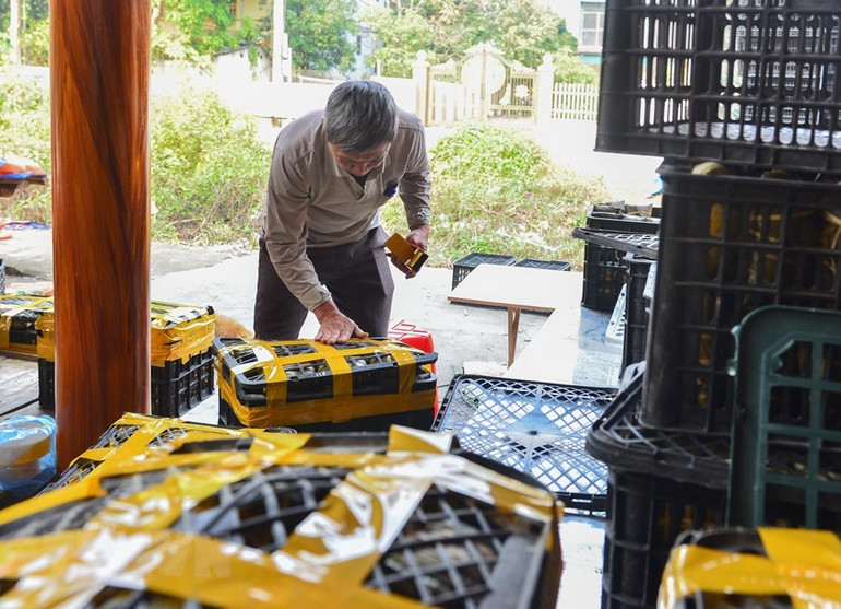 [Ảnh] Làng nghề bánh chưng gù Bản Tùy ở Hà Giang tất bật cho vụ Tết ảnh 5