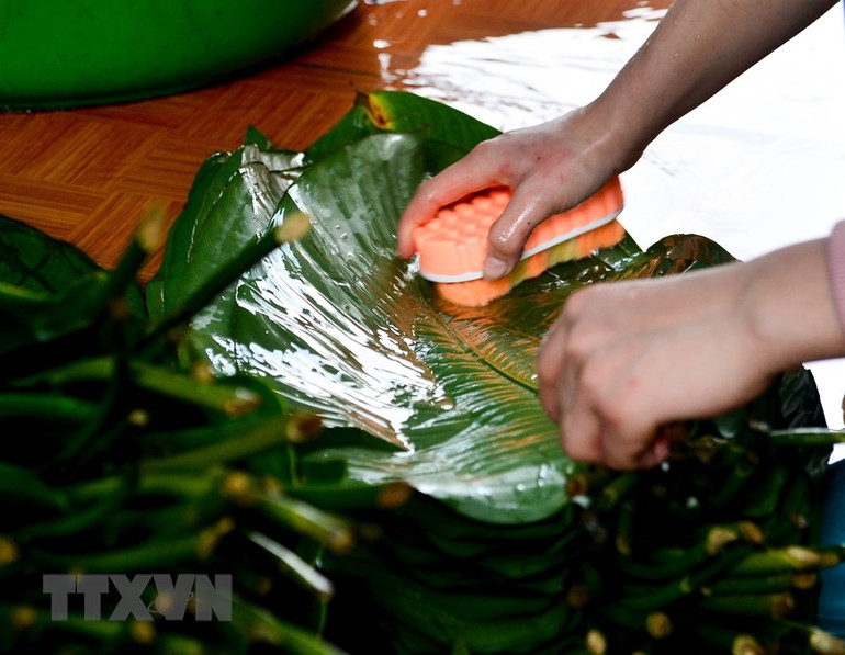 [Ảnh] Làng nghề bánh chưng gù Bản Tùy ở Hà Giang tất bật cho vụ Tết ảnh 2