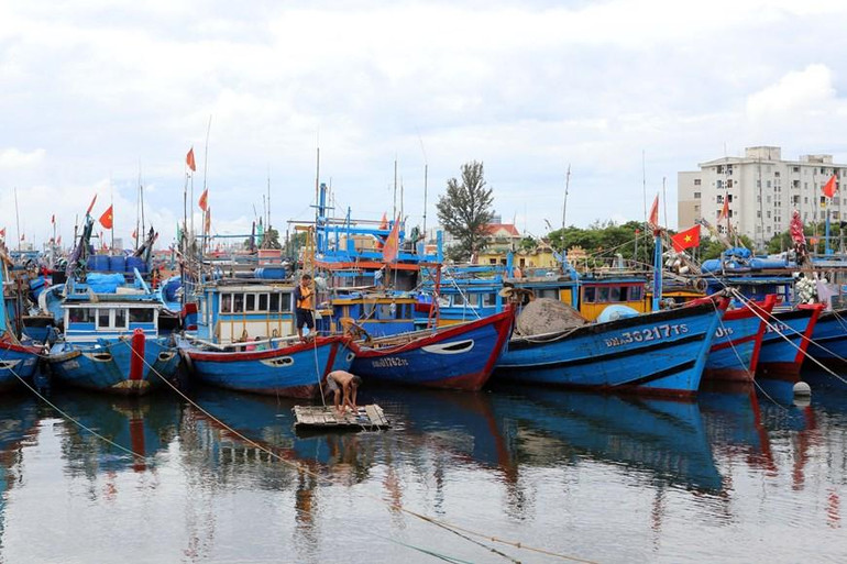 [Ảnh] Người dân tại miền trung hối hả phòng, chống bão Noru ảnh 16