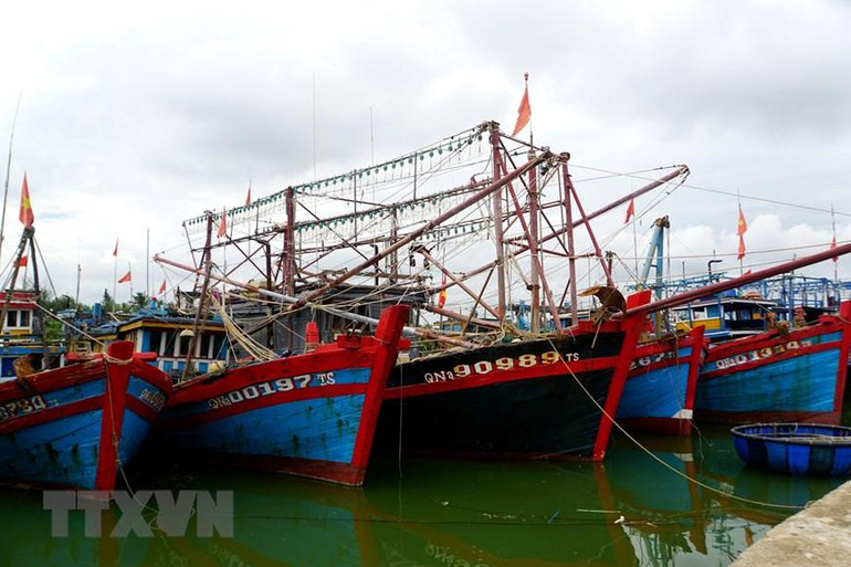 [Ảnh] Người dân tại miền trung hối hả phòng, chống bão Noru ảnh 10