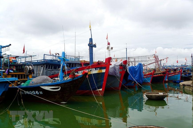 [Ảnh] Người dân tại miền trung hối hả phòng, chống bão Noru ảnh 9