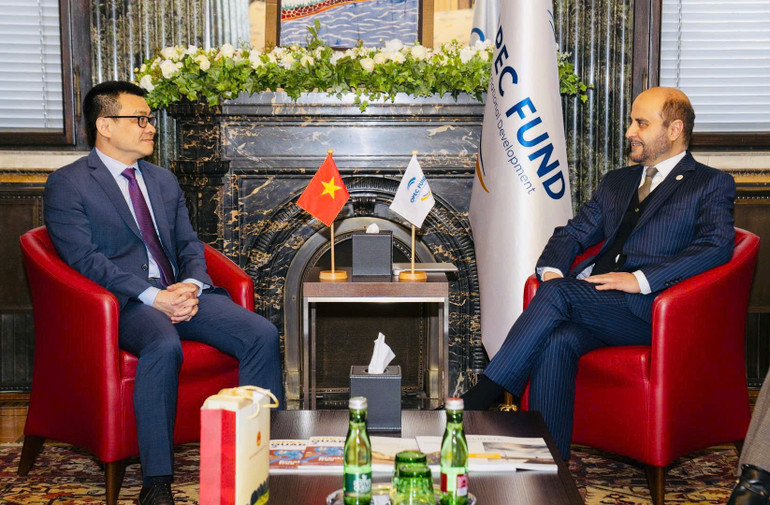 Đại sứ Vũ Lê Thái Hoàng và Tiến sĩ Abdulhamid Alkhalifa, Chủ tịch Quỹ OPEC tại buổi tiếp.