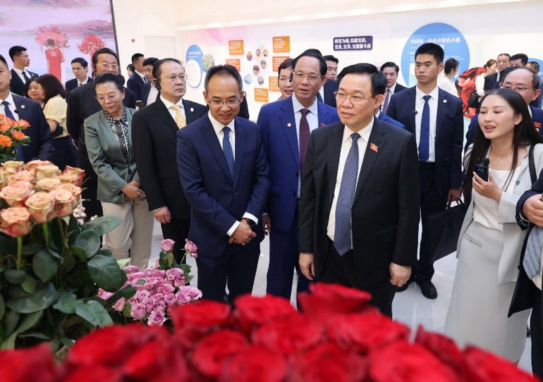 Chủ tịch Quốc hội Vương Đình Huệ thăm Trung tâm Giao dịch đấu giá cây cảnh quốc tế Côn Minh. (Ảnh: Nhan Sáng-TTXVN) Chủ tịch Quốc hội Vương Đình Huệ thăm Trung tâm Giao dịch đấu giá cây cảnh quốc tế Côn Minh. (Ảnh: Nhan Sáng-TTXVN)