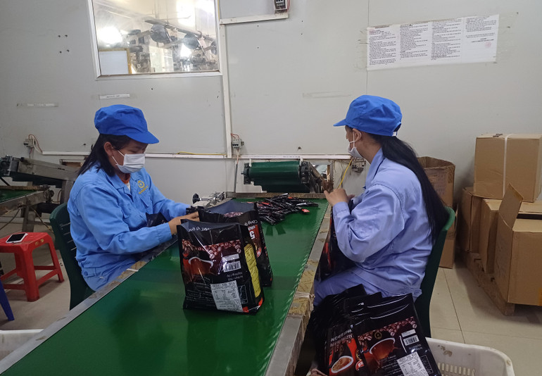 Sản phẩm cà-phê hòa tan của Công ty trách nhiệm hữu hạn một thành viên Sài Gòn-Cà phê, thị trấn Tà Lùng, huyện Quảng Hòa (Cao Bằng) được xuất khẩu sang Trung Quốc. (Ảnh: MINH TUẤN)