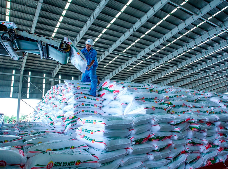 Người lao động Phân bón Cà Mau.