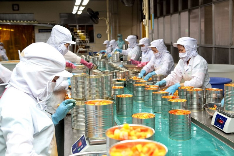 Doanh nghiệp tăng cường chế biến để nâng cao giá trị xuất khẩu rau quả.