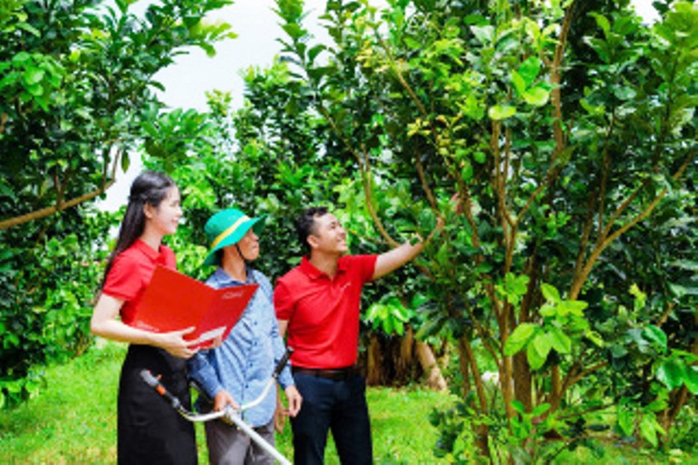 Agribank đã phối hợp các tổ chức chính trị-xã hội tăng khả năng tiếp cận vốn cho khách hàng thông qua tổ vay vốn.