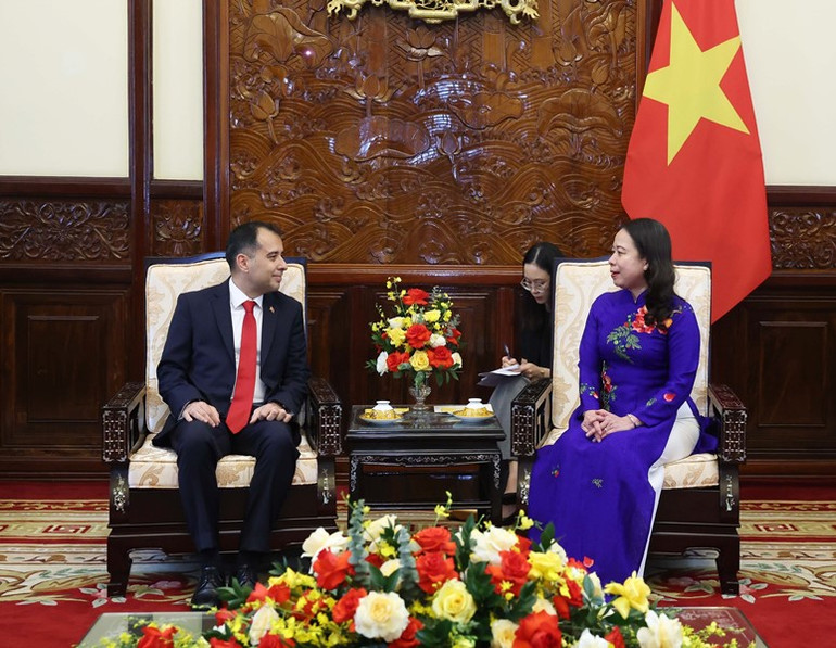 Quyền Chủ tịch nước Võ Thị Ánh Xuân tiếp Đại sứ Thổ Nhĩ Kỳ.