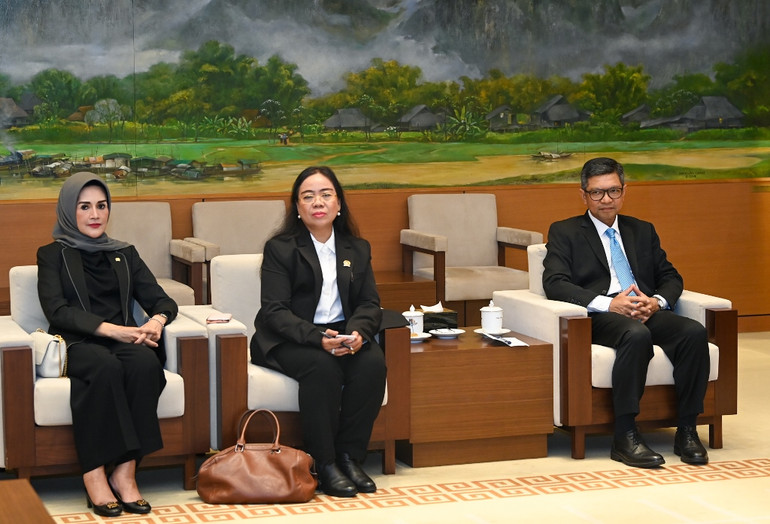 Các thành viên Thượng viện Indonesia và các đại biểu Indonesia dự buổi tiếp.