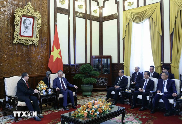 Chủ tịch nước Tô Lâm tiếp Đại sứ Panama Eligio Salas III. Ảnh: Nhan Sáng/TTXVN