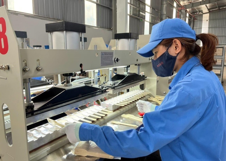 Chế biến sản phẩm đồ gỗ dùng một lần tại Khu công nghiệp Thanh Bình. (Ảnh: THU CÚC) Chế biến sản phẩm đồ gỗ dùng một lần tại Khu công nghiệp Thanh Bình. (Ảnh: THU CÚC)